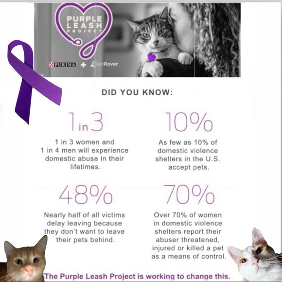 Poshitively Wonderful! - Picture 5 of 14